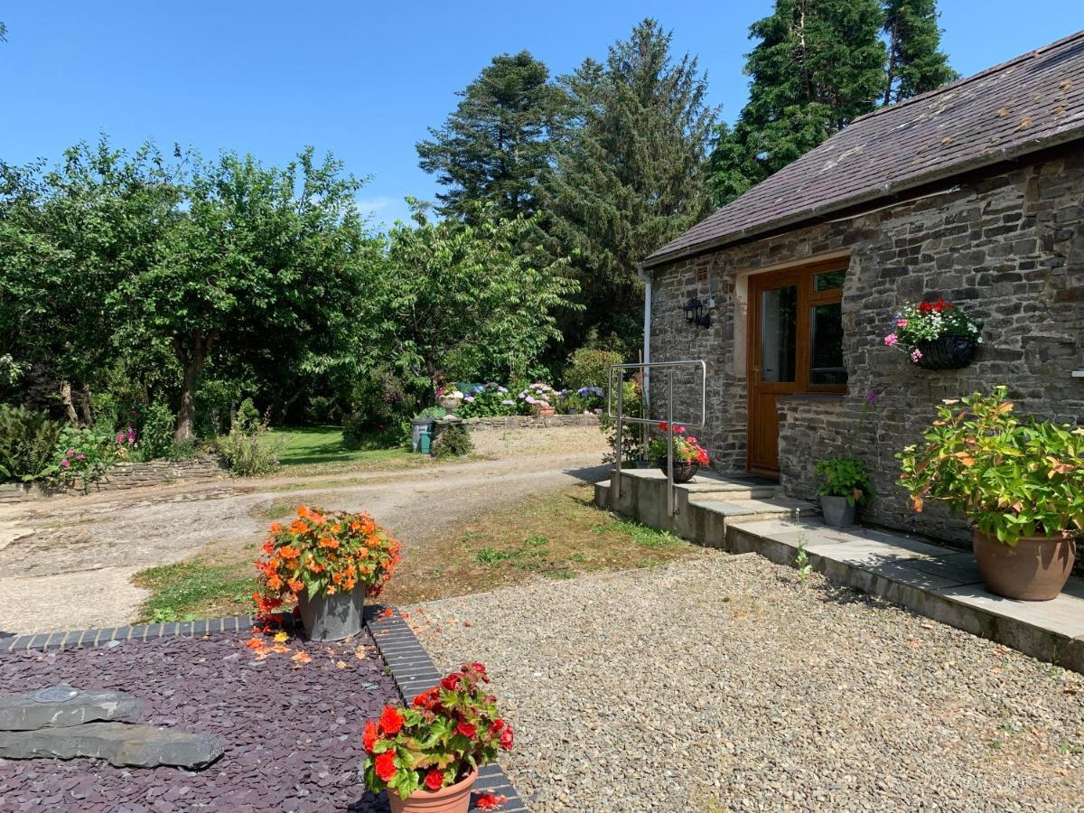 Parc Farm B&B Llanarth  Exterior foto