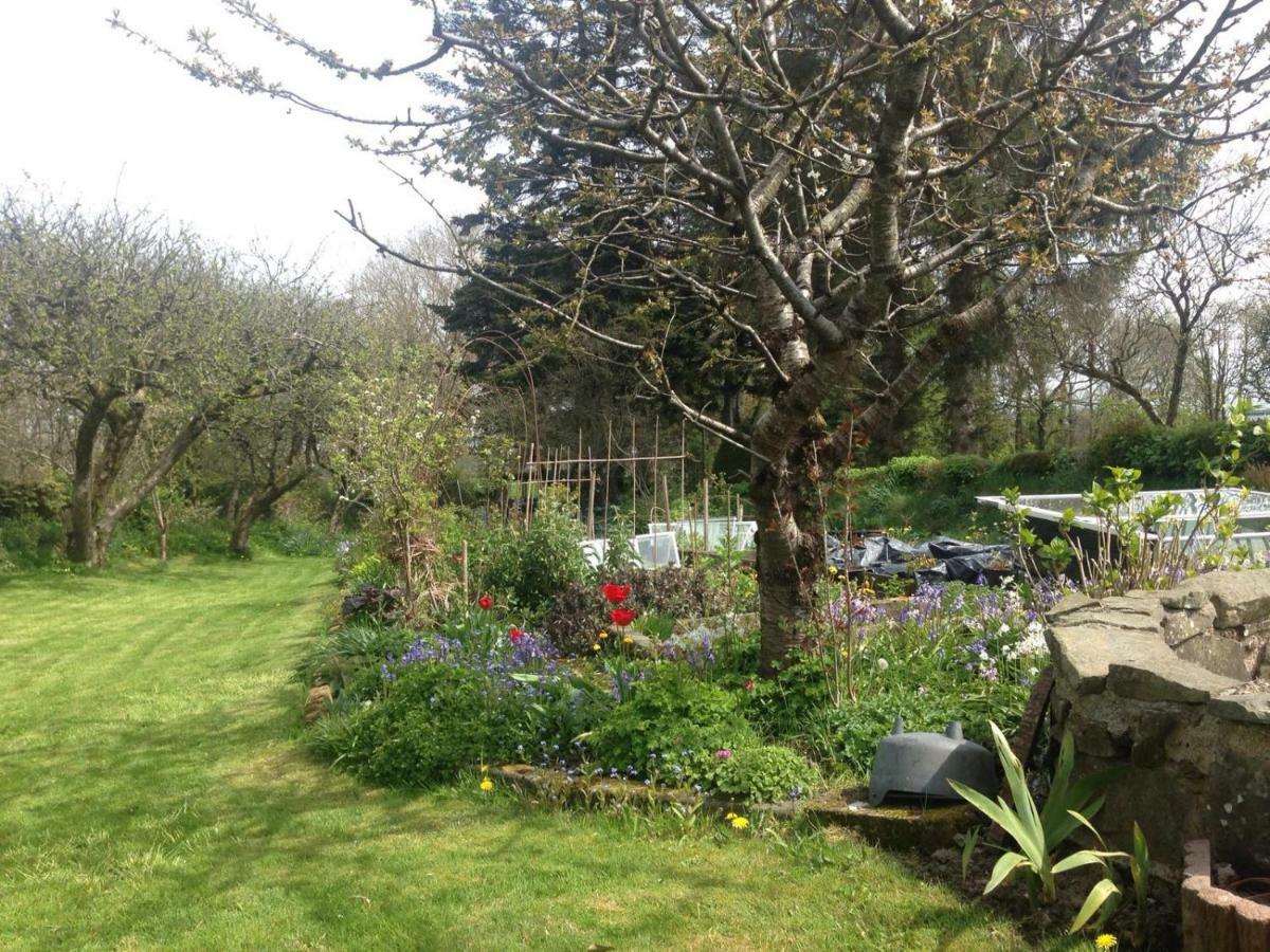 Parc Farm B&B Llanarth  Exterior foto