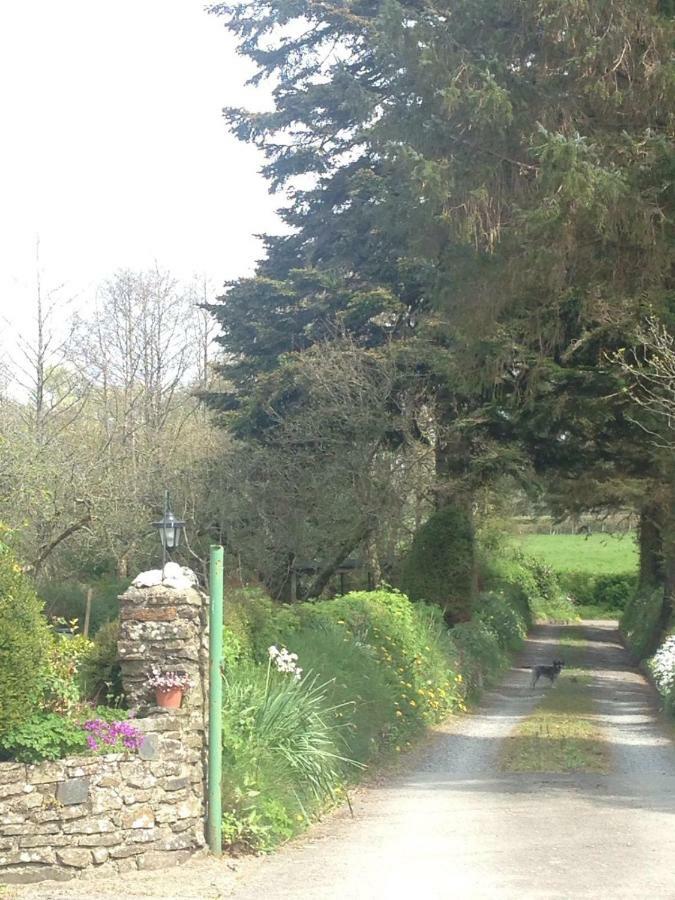 Parc Farm B&B Llanarth  Exterior foto